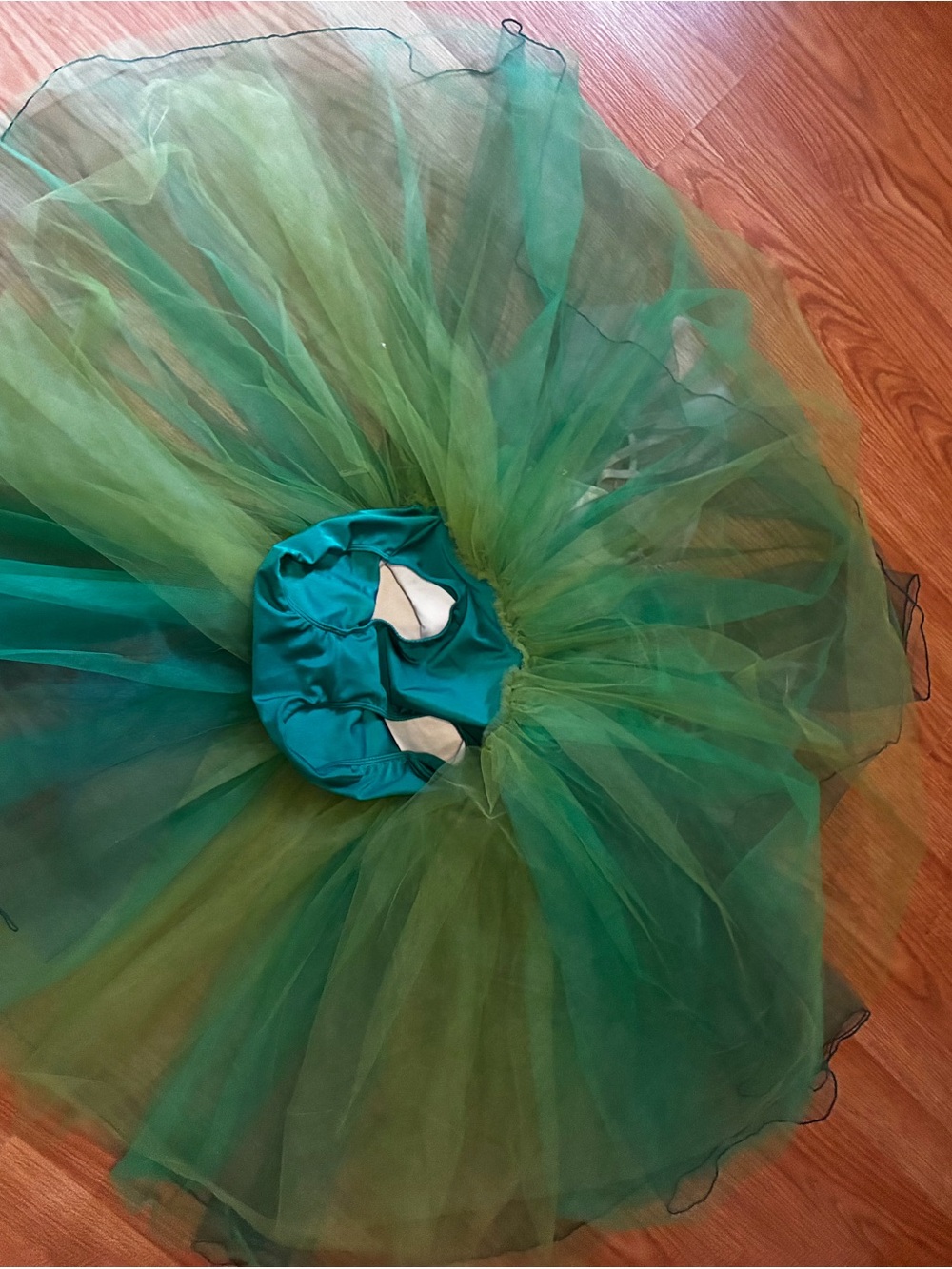 A Wish Come True Les Roses Girls Green Floral Tulle Dance Costume - Picture 3 of 6